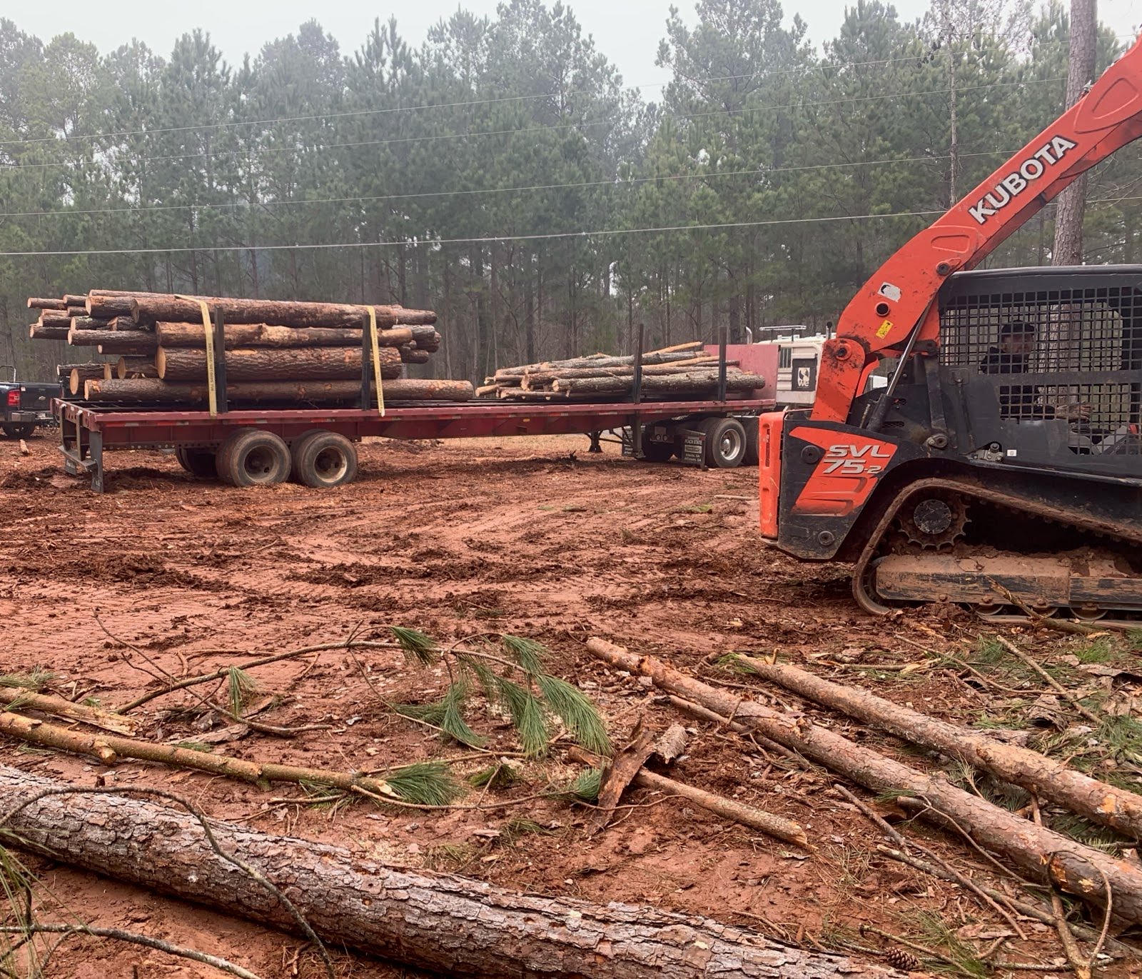 Storm damage cleanup