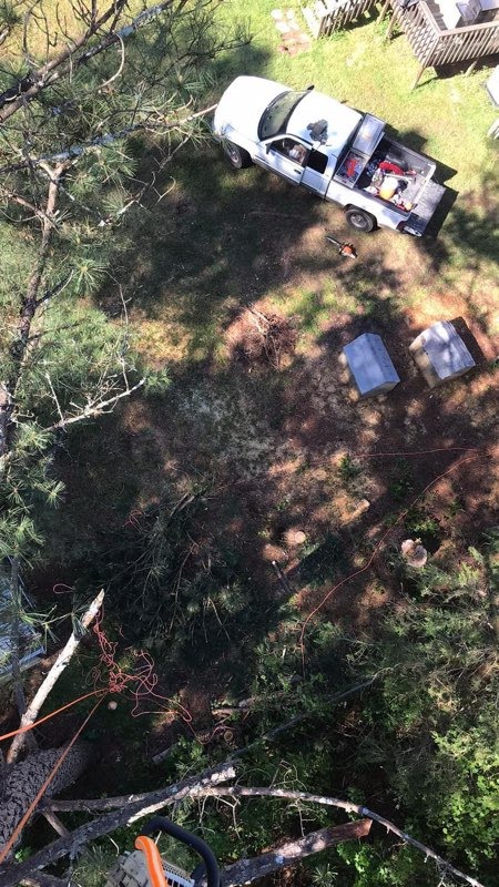Land clearing work