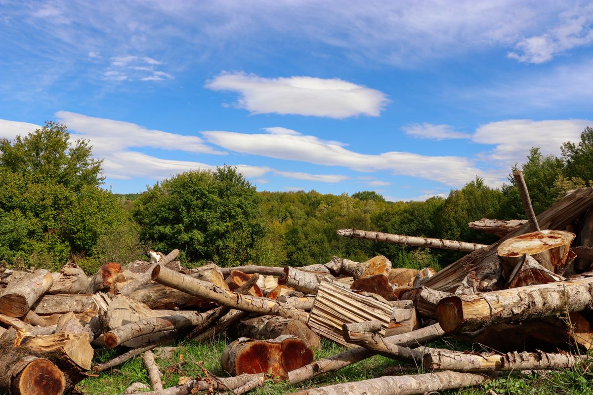 Land clearing service in Greenwood, SC