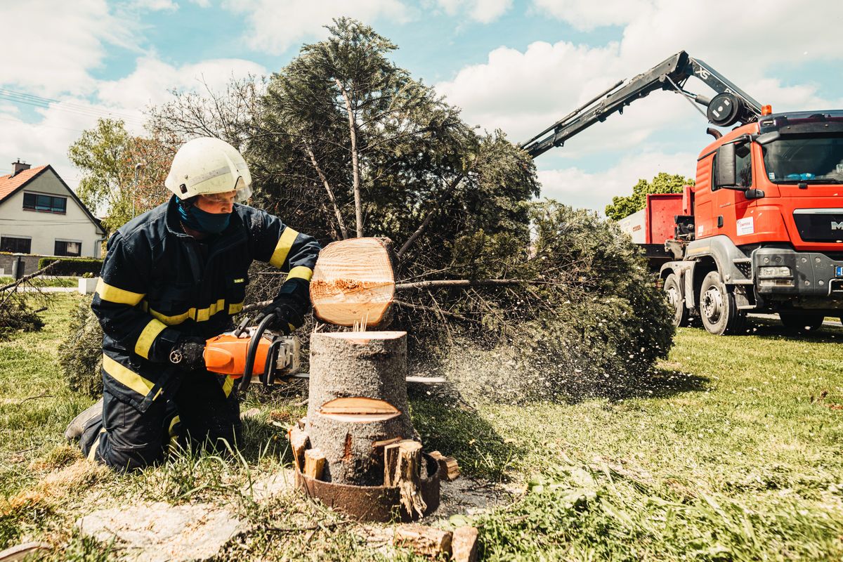 Stump grinding service in Greenwood, SC