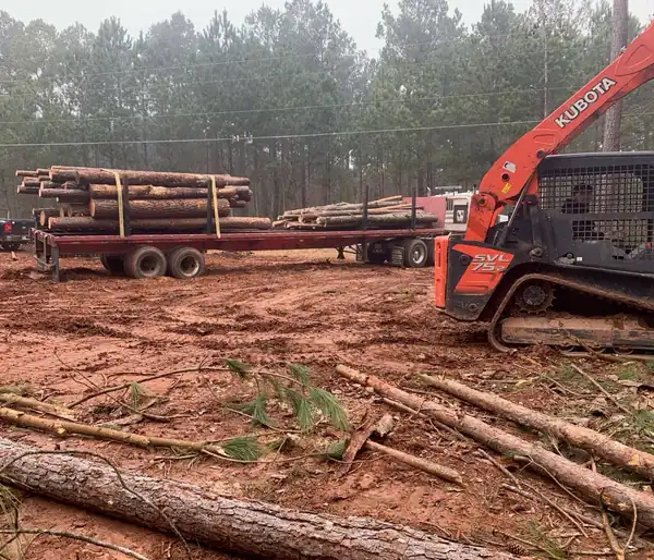 Orange Kubota track loader beside a trailer stacked with pine logs on a cleared lot